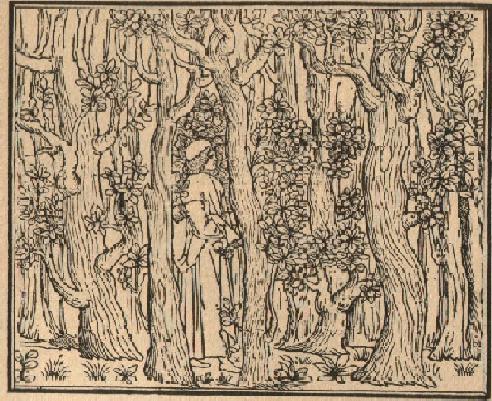 Hypnerotomachia Poliphili, 1499